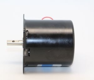 220V 50 Rpm AC Senkron Motor