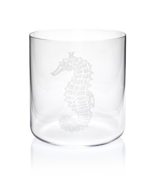 Mercan Su/Viski Bardağı 4’Lü Set