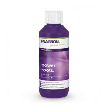 Plagron Power Roots 100 ml