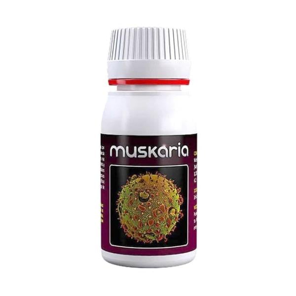 Agrobacterias Muskaria 60 ml
