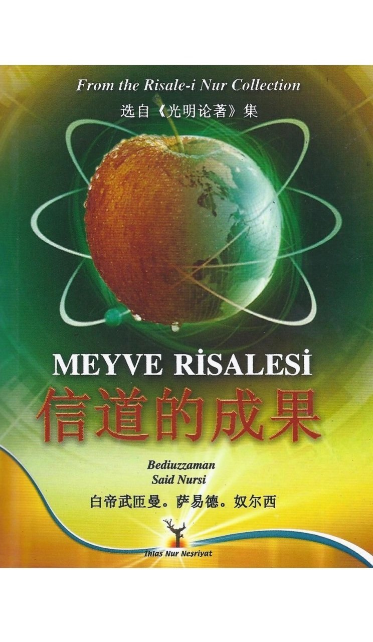 MEYVE RİSALESİ (ÇİNCE)