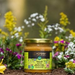 Organik Arı Sütü-Bal-Polen-Propolis Karışımı BEEMIX