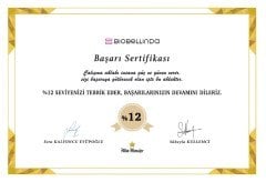 Sertifika / Diploma