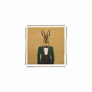 Mr. Rabbit Pleksi Tepsi PT2103 - 25cm*25cm