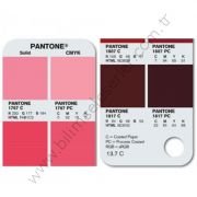 Pantone Color Bridge Coated  GG6103N