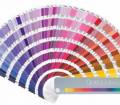 Pantone Geo Guide /Coated