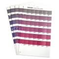 Pantone Premium Metallics Chips Coated GB1507A