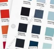 Pantone Tekstil Cotton Planner / Tcx New (Yeni Renk İlaveli) FHIC300