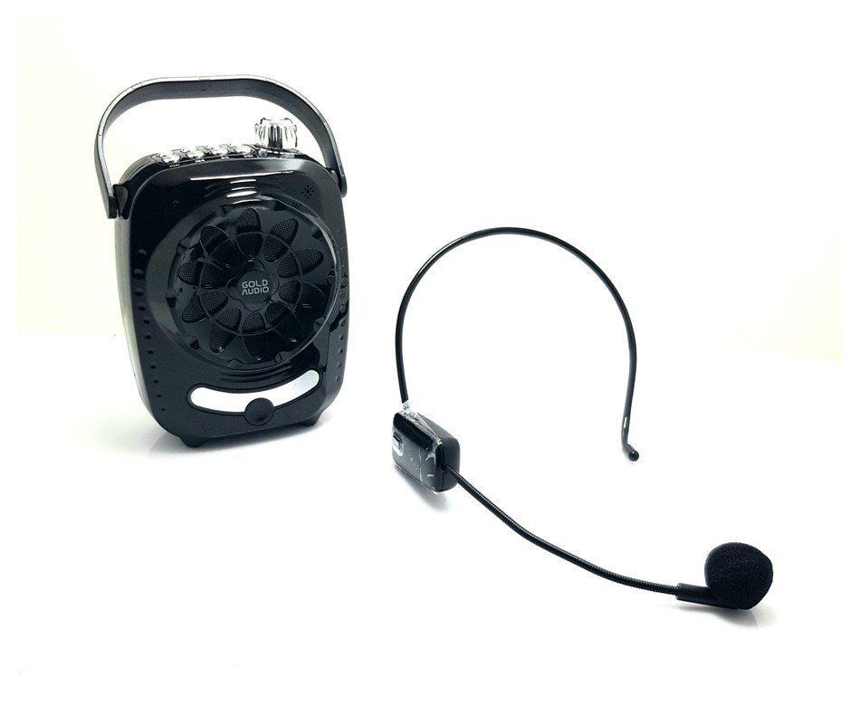 GoldAudio GR-11 Kablosuz Mikrofonlu Bluetooth Hopalör