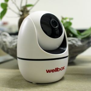 WellCam WB-2040W Hareketli IP Wifi Kamera 2mp Full HD 1080P