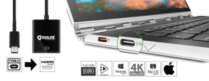 Sunline 170667 Type-C USB 3.1 Type-C USB-C/4K HDMI Çevirici Dönüştürücü