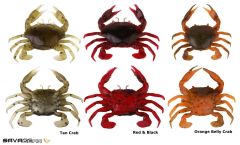 Savage gear LB 3D Manic Crab 5 cm 4 Adet Suni Yem