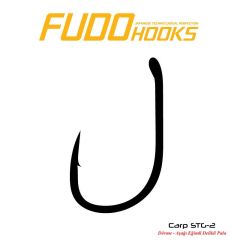 Fudo 2421 Carp STG-2 Black Nikel İğne