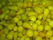 Doğal Yellow Biberiye  Tohumu (20 adet)