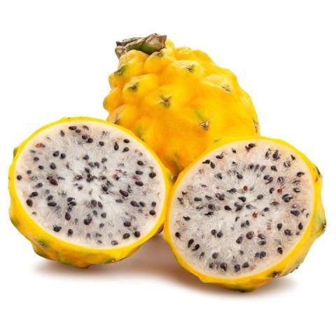 Tüplü Palora Sarı Pitaya Yellow Dragon Fruit Ejder Meyvesi Fidanı