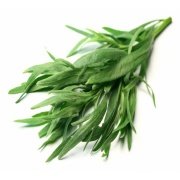 Artemisia Drancunculus Tarhun Otu Fidesi (5 fide)