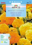 Miracle Karışık Renkli İri Kadife Çiçeği Tohumu (290 tohum)