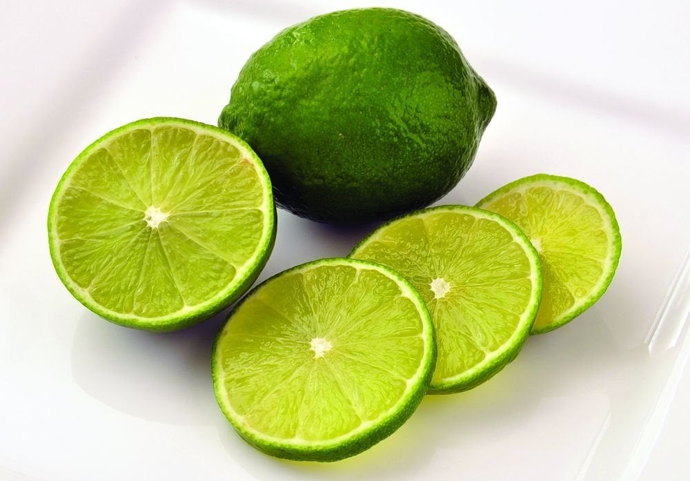 Verde Lime Şeker Lime Fidanı