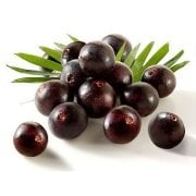 Tüplü Acai Berry Fidanı