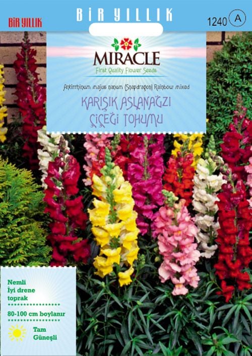 Miracle Antirrhinum Rainbow Mixed Karışık Aslanağzı Çiçeği Tohumu(200 tohum)