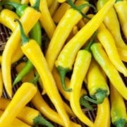 Yellow Cayenne Biber Tohumu (20 Tohum)