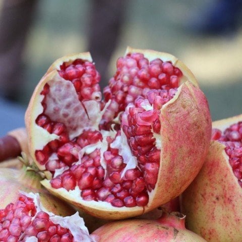 Tüplü Tatlı Çekirdeksiz Nar Fidanı (Üzeri Çiçekli Meyve Verme Durumunda 70-120 cm)