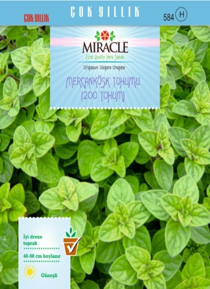 Miracle Mercanköşk Tohumu (200 tohum)