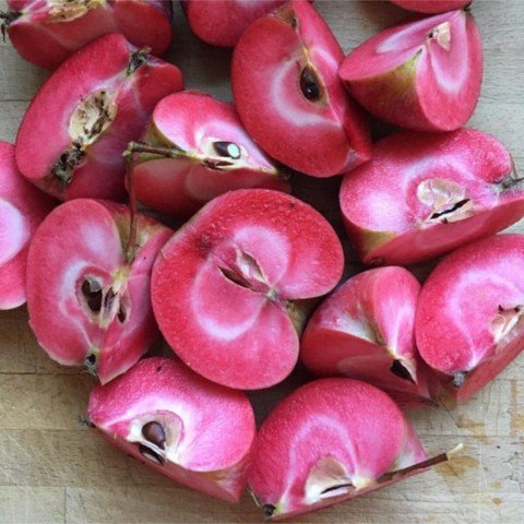 Tüplü Baldur Özel Üretim İçi ve Dışı Kırmızı Elma Fidanı (200-300 cm Meyve Verme Yaşında)