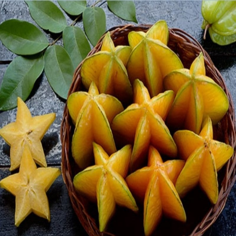 Tüplü Karambola Star Meyvesi Fidanı (10-20 cm)
