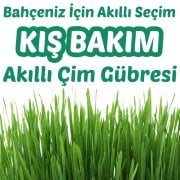 Akıllı Yavaş Salınımlı Çim Kış Bakım Gübresi