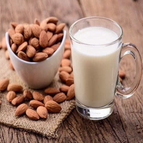 Tüplü Yarı Bodur Kendine Verimli Soğuklara Dayanıklı Milkshake Süt Bademi Fidanı
