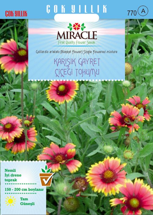 Miracle Karışık Gayret Çiçeği (Giallardia Mix) Tohumu (190 tohum)