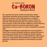 Kalsiyum Borat (Ca – BORON)(20 kg)