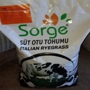 Donlara Dayanıklı Sorge Süt Otu Italian Ryegrass(10 Kg)