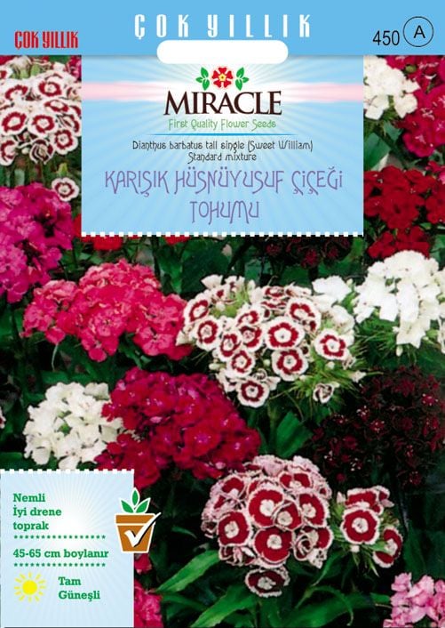 Miracle Uzun Boylu Karışık Renkli Hüsnü Yusuf Çiçeği Tohumu (150 tohum)