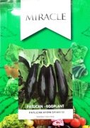 Miracle Aydın Siyahı Patlıcan Tohumu (10 gram)
