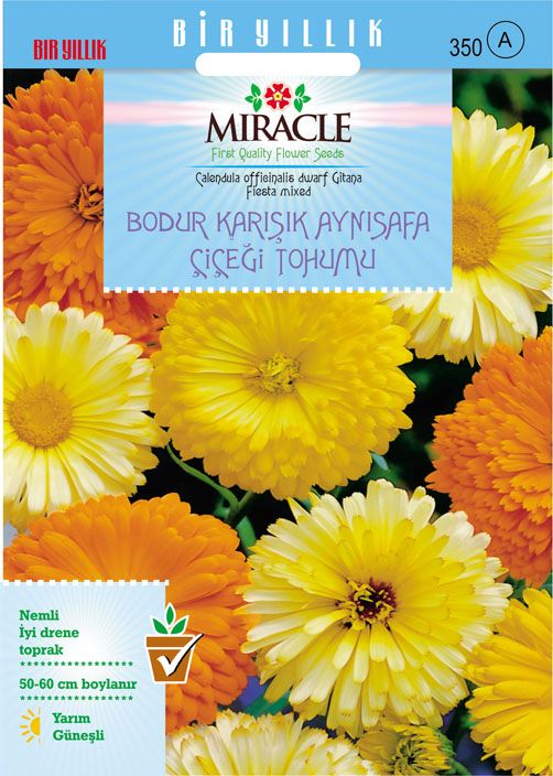 Miracle Karışık Renkli Bodur Aynısafa Çiçeği Tohumu (Gitana Mixed) (150 tohum)