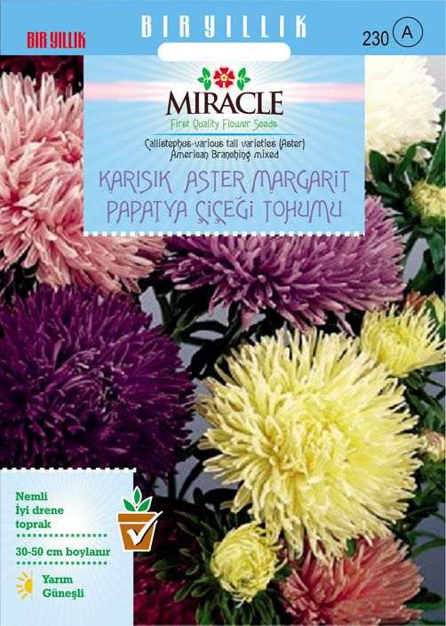 Miracle Karışık Renkli Amerikan Branching Aster Margarit Papatya Çiçeği Tohumu (360 tohum)
