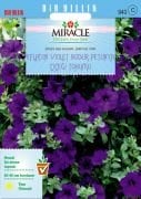 Miracle Eflatun Alderman Violet Bodur Petunya Çiçeği Tohumu (800 tohum)
