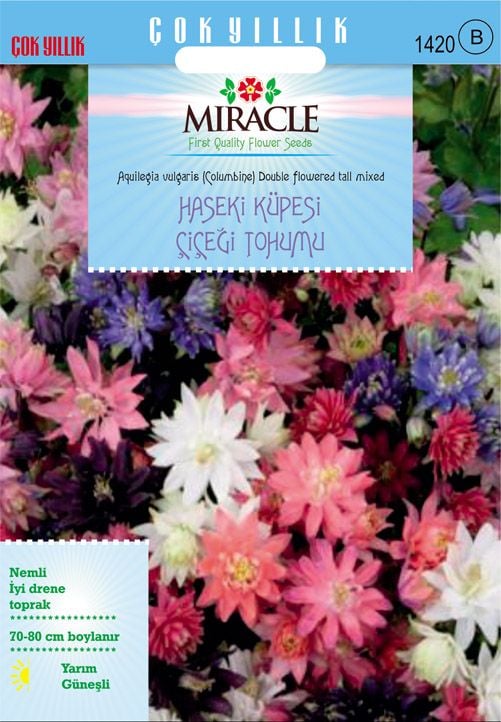 Miracle Karışık Renkli Katmerli Haseki Küpesi Çiçeği Tohumu(100 tohum)
