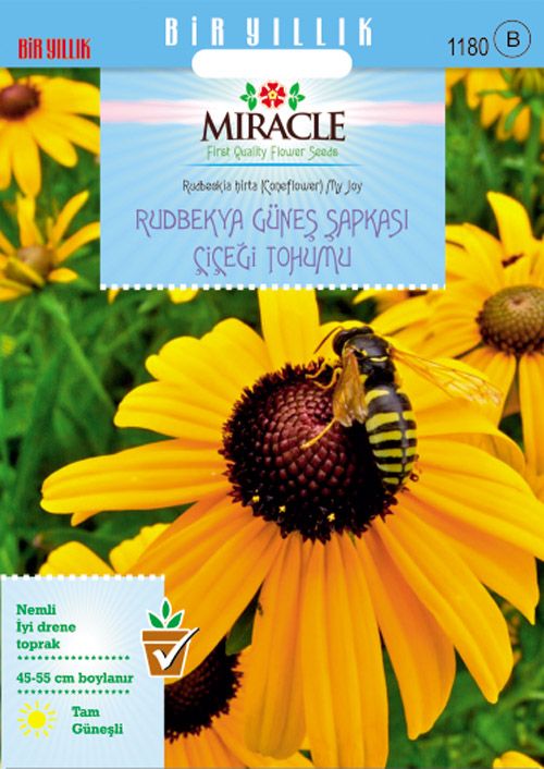 Miracle Hirto My Joy Rudbekya (Güneş Şapkası) Çiçeği Tohumu (900 tohum)