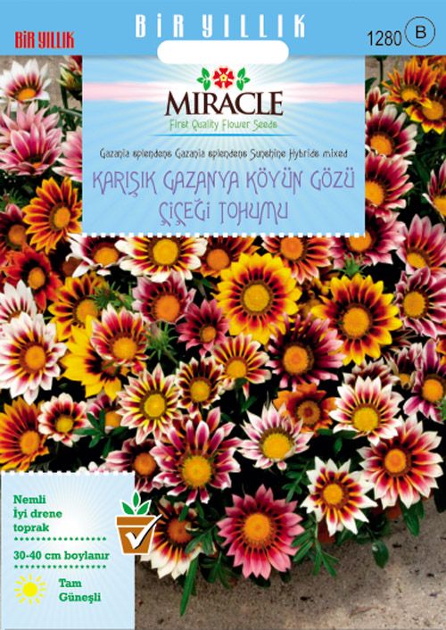 Miracle Karışık Renkli Koyun Gözü Gazanya Çiçeği Tohumu(78 tohum)