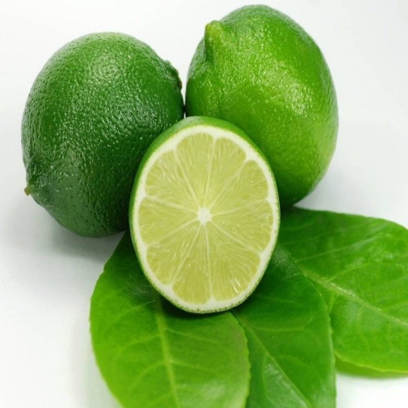 Nadir Tüplü Meksika Lime Limon Fidanı