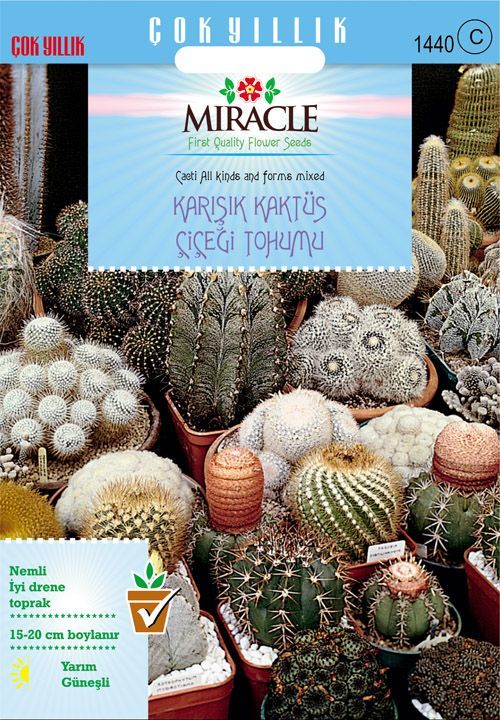 Miracle Karışık Kaktüs Bitkileri Çiçeği Tohumu (100 tohum)