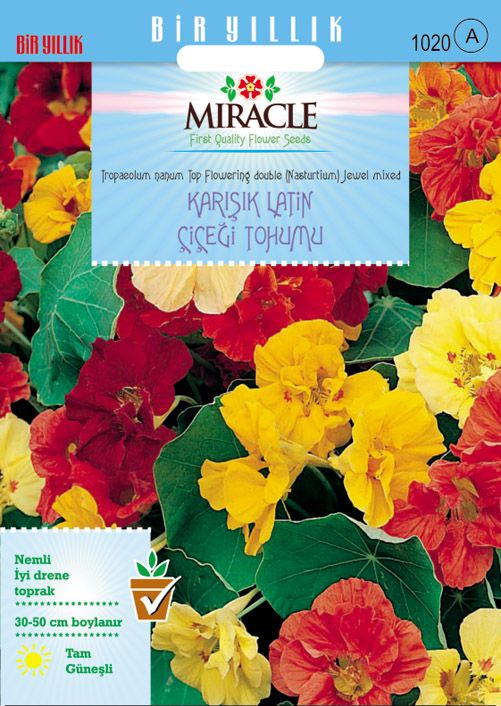Miracle Karışık Double Renkli Sarmaşık Latin Çiçeği Tohumu (10  tohum)