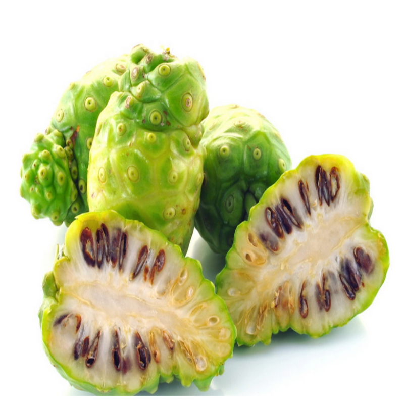 Noni(Hint Dutu) Tohumu(5 adet)