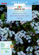 Miracle Mavi Unutma Beni Çiçeği Tohumu (100 tohum)