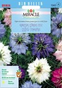 Miracle Karışık Renkli Çörek Otu Çiçeği Tohumu (100 tohum)