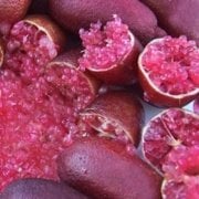 Meyve Verme Yaşında Tüplü Havyar Limon Mia Rose Finger Lime Fidanı