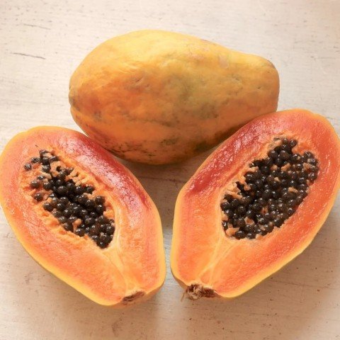 Tüplü Papaya(Ağaç Kavunu) Fidanı(150-200 cm) Meyve Verme Durumunda